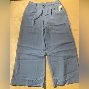 Wonderly Light Blue Dress Wide Leg Pants 14 (IG)
